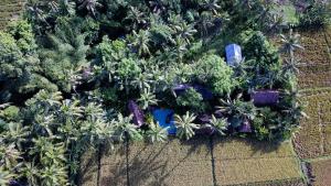 Coconut Corner Boutique Hotel