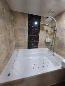 Asan Ritz Hotel - 牙山市