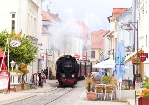 Haus Ostseesprung - Fewo Victoria im Souterrain mit Terrasse und gem Garten