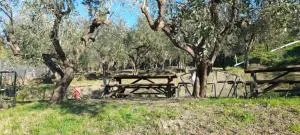 切莱农家乐 - 瓦拉泽