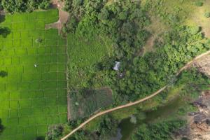 Tribe Wilpattu - Eco Lodge