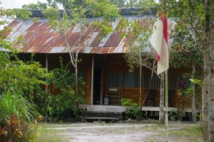 Orangutan & Restoration Camp