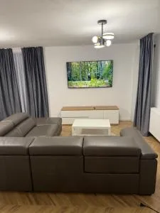 Casuta de pe Ses - Carpinis