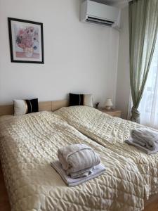 Фамилно студио Alex&Marry Аспен Резорт Банско