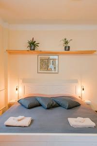 Cozy studio and standard apartments in the heart of Oldtown