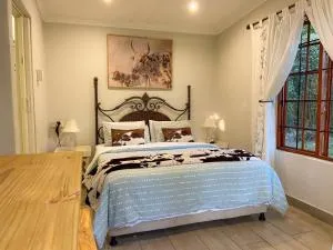 Cape Chameleon - Elandskop