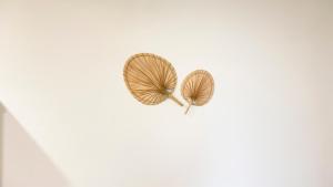 Ca Egle by Ca-Sa Check