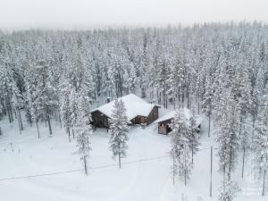 Holiday in Lapland - Ruka Kesätie