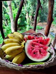 Atha Tree House