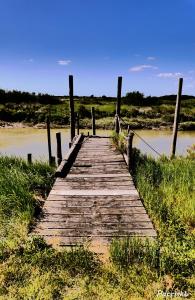 Hotels Le Crist'Al, hotel et restaurant, partiellement climatise, en front de mer et centre ville : photos des chambres