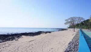 TinyHouse at TigerCave