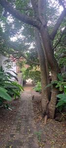 Louis Chalet - tranquil hideout