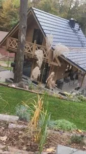 Dadaj Chill - Wilimy