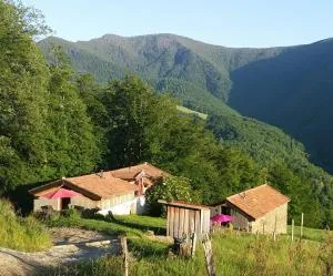 Gite du Pic noir - Rivèrenert