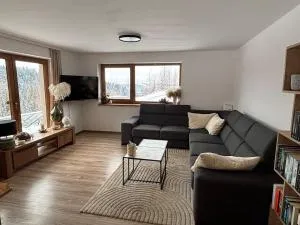 Apartament pod lasem - 新塔尔格