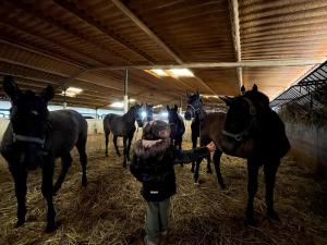 Casa de campo, Antequera