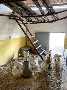 Casa de campo, Antequera