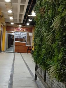 Flamingo inn-KV tower 2nd floor, Paidleganj Kalepur,Kasia road, Gorakhpur