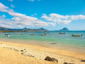 Beachfront Appartment