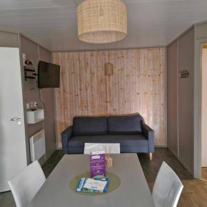 Chalet JACUZZIspa privatif PERCE NEIGE