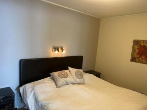 Perfect location ski-in Åre