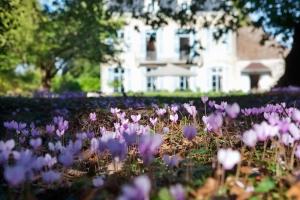 Villas Chateau de Lans : photos des chambres