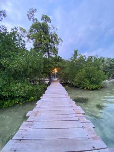 Senjahomestayrajaampat