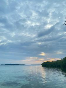 Senjahomestayrajaampat