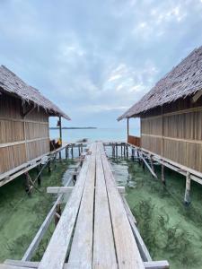 Senjahomestayrajaampat