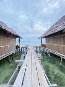 Senjahomestayrajaampat