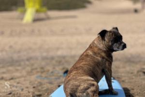 Casa Atom a pochi passi dalloceano