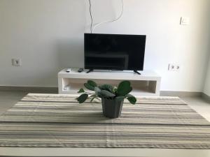 Apartamentos Aloe