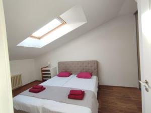 Grand Attic Penthouse