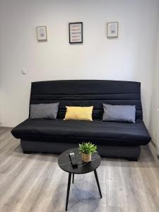 Agréable T2- Centre ville