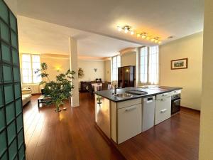 Appartements SPACIOUS FLAT WITH AC & 33M² TERRACE IN SARLAT : photos des chambres