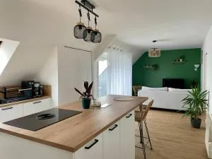 Appartement cosy proche gare - Saint-Avé