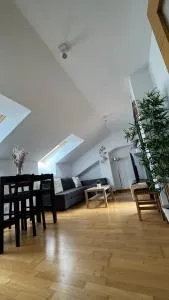 Apartamentos Suites Olmedo - Llano de Olmedo