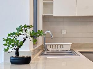 Modern Five Bedroom Villa with BBQ and Garden