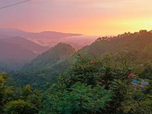 Nature Sanctuary Stay