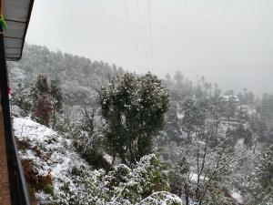 Nature Sanctuary Stay