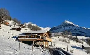 Bachsbort 14 4- Bett Wohnung Parterre, freie Sicht auf Eiger - 施塔尔登