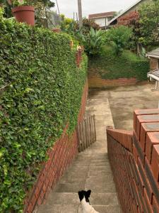 Modern Rustic Durban Apartment