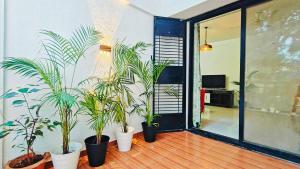 Bamboo Stays Vibrant 2bhk Apt Nr Jupiter Hsp