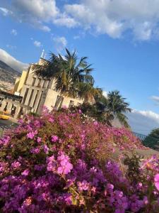 Center Marina view Gold Studio