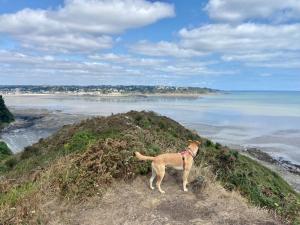 Campings Mobile-home en bord de mer : photos des chambres