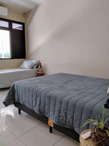 Pitaia casa para temporada