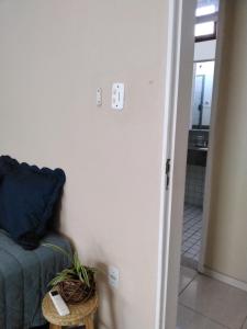 Pitaia casa para temporada