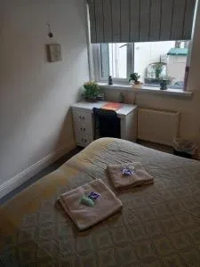 The wee airport cottage - 霍斯