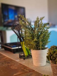 Durbanville CPT Pet Friendly, Self-Catering