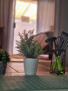 Durbanville CPT Pet Friendly, Self-Catering